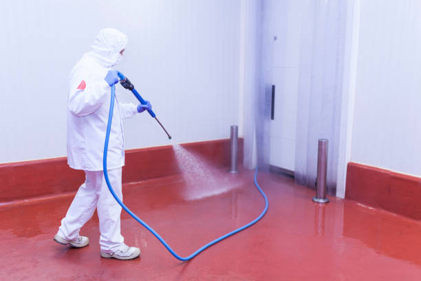 Best Driveway Pressure Washing  in Stafford Courthouse, VA
